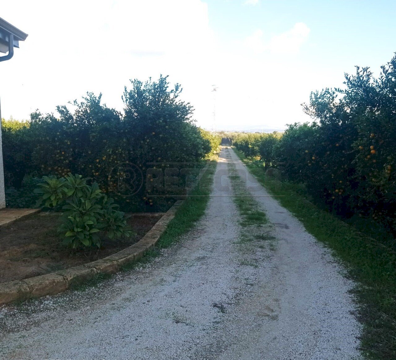 001.jpg - Villa Castelvetrano - photo 2