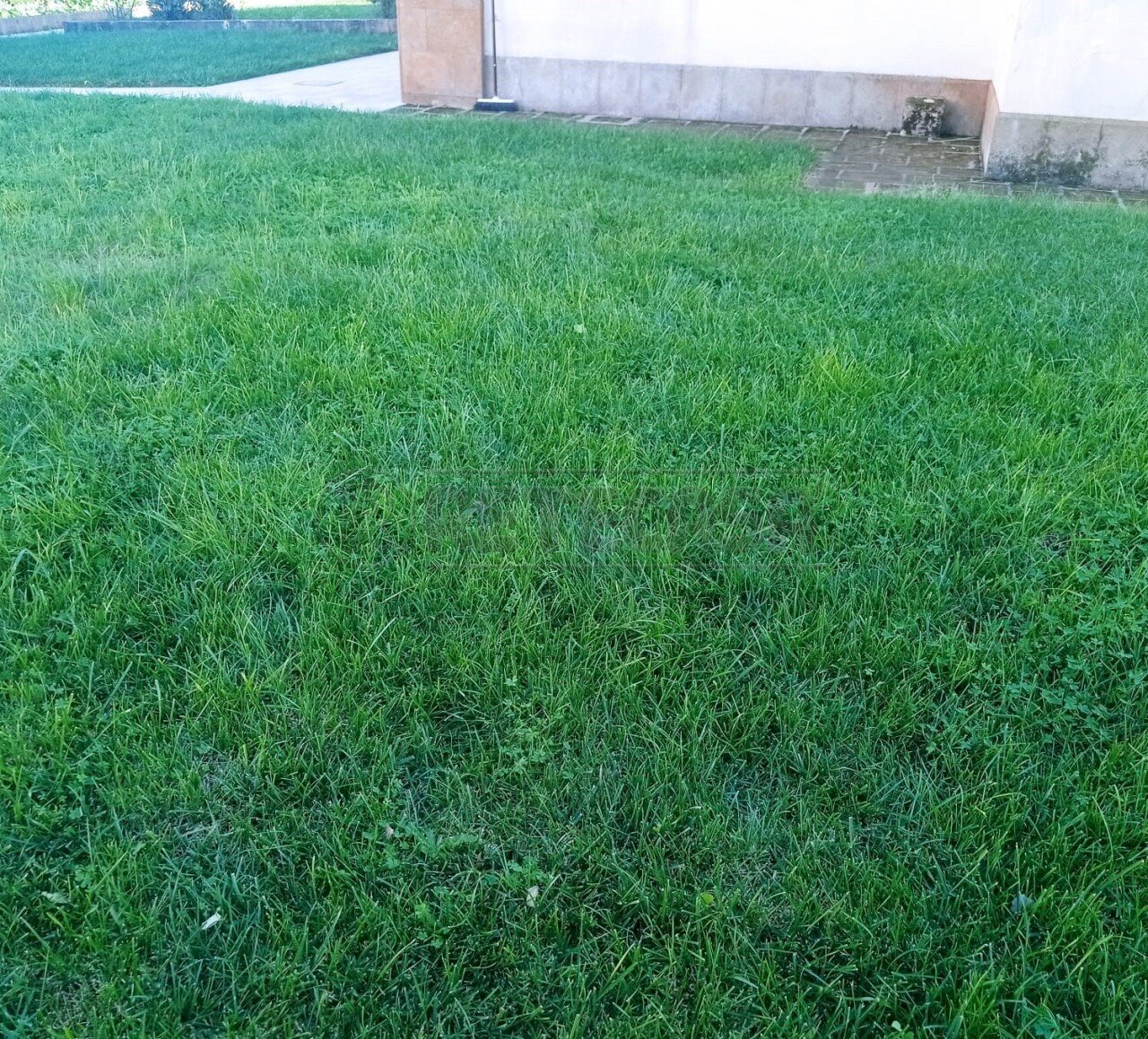 002.jpg - Villa Castelvetrano - photo 3