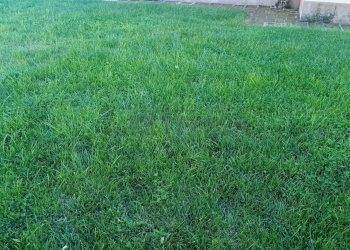 002.jpg - Villa Castelvetrano - foto 3