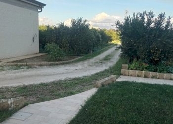 009.jpg - Villa Castelvetrano - foto 9