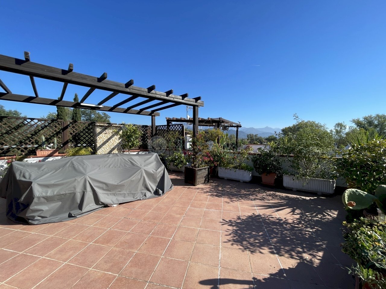 IMG_6475.JPG - Trilocale Via Giacomo Leopardi 30, Ameglia - foto 1