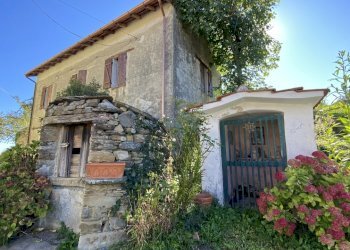 Rif 1831  (13).JPEG - Terratetto - Terracielo Dego - foto 2