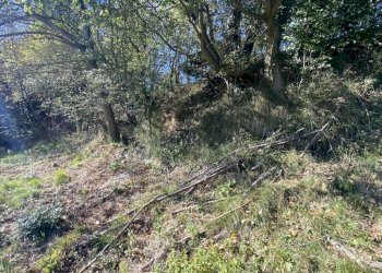 Rif 1831  (9).JPEG - Terratetto - Terracielo Dego - foto 18