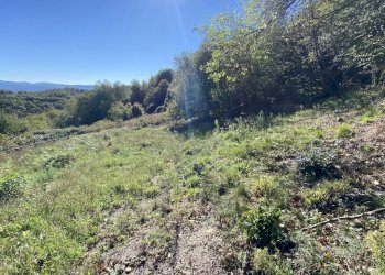 Rif 1831  (10).JPEG - Terratetto - Terracielo Dego - foto 19