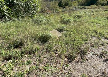 Rif 1831  (11).JPEG - Terratetto - Terracielo Dego - foto 20