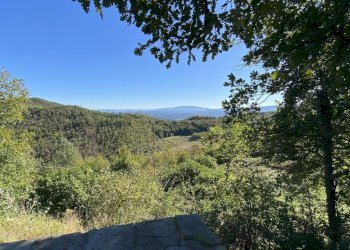 Rif 1831  (23).JPEG - Terratetto - Terracielo Dego - foto 29