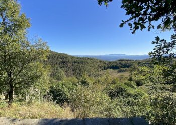 Rif 1831  (24).JPEG - Terratetto - Terracielo Dego - foto 30