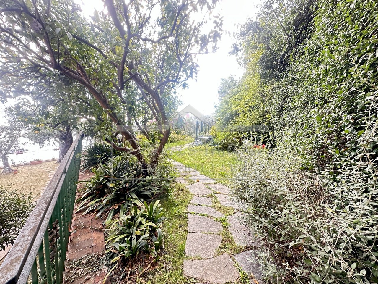 IMG_8818.JPEG - Independent house Salvo D'Acquisto 70, Recco - photo 2