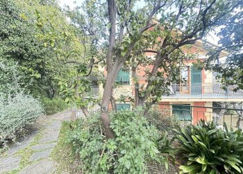 IMG_8822.JPEG - Casa indipendente Salvo D'Acquisto 70, Recco - foto 4