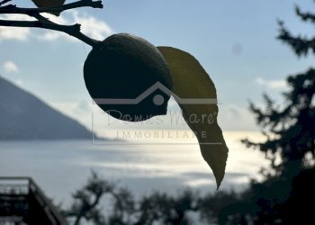 IMG_8823.JPEG - Casa indipendente Salvo D'Acquisto 70, Recco - foto 5