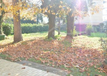 DSC_8204.JPG - Quadrilocale Via Madonna del Bosco 17, Cairo Montenotte - foto 29