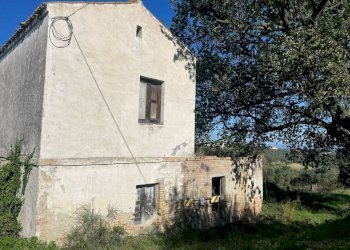 98198c64-c576-4c29-9e94-c442249fd315.jpg - Villa contrada ranco 55, Paglieta - foto 3