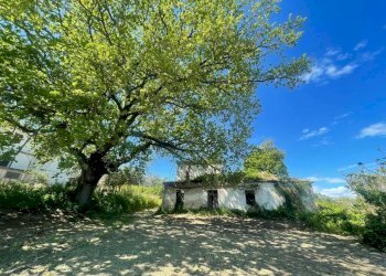 631da32f-fcf8-4e7d-9d21-9c65e7837e37.jpg - Villa contrada ranco 55, Paglieta - foto 7