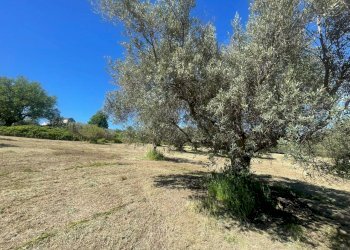 43a2db3e-306a-489a-a2f2-8c0150dea88c.jpg - Villa contrada ranco 55, Paglieta - foto 8