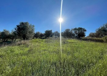 7ed96565-c556-45b2-9035-737fc9f594d4.jpg - Villa contrada ranco 55, Paglieta - foto 9