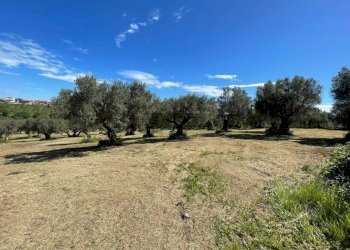 4d19a6c4-7096-41ee-a52e-87d7e35875e7.jpg - Villa contrada ranco 55, Paglieta - foto 11