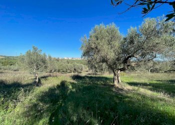 0cacc181-7606-4b43-9c87-32b026848df9.jpg - Villa contrada ranco 55, Paglieta - foto 13