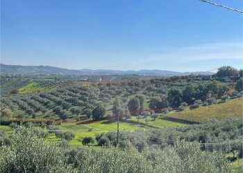 4f86fd09-27ef-4c42-8a7e-ad3a58c4d4aa.jpg - Villa contrada ranco 55, Paglieta - foto 14