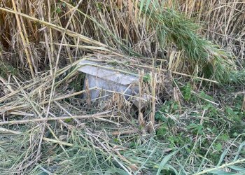 6b33d83d-e8ef-415e-ae4f-063021c75252.jpg - Villa contrada ranco 55, Paglieta - foto 15