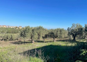 71643b07-1658-4c50-b4ea-3a2746a4bf54.jpg - Villa contrada ranco 55, Paglieta - foto 18