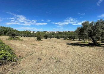 f1eaca31-16e2-450c-9cf1-0f6b994009db.jpg - Villa contrada ranco 55, Paglieta - foto 22