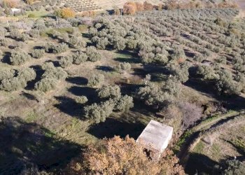 7a01c95b-4251-4125-b884-b984598f41ef.jpg - Villa contrada ranco 55, Paglieta - foto 4