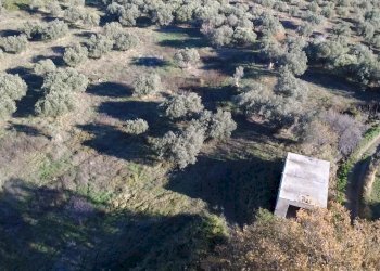 4e671522-b4db-4d3e-a113-2a187d318a24.jpg - Villa contrada ranco 55, Paglieta - foto 6