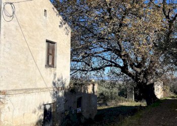 48248952-37d7-4f50-a246-6c611b959122.jpg - Villa contrada ranco 55, Paglieta - foto 25