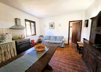 13.jpeg - Independent house Via Rimembranze, Amelia - photo 13