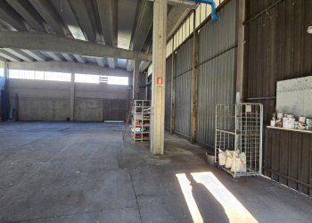 20251104_142343.jpg - Capannone Via delle Regone 58, San Colombano al Lambro - foto 8