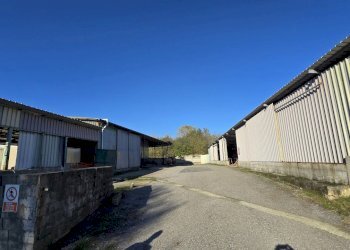 20251104_142907.jpg - Capannone Via delle Regone 58, San Colombano al Lambro - foto 16