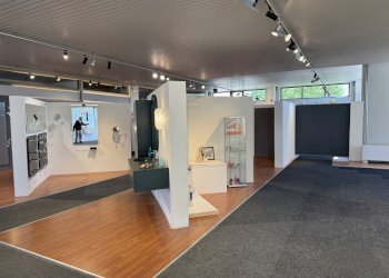 IMG_0496 - Show room Via Codognino 46, Cornegliano Laudense - photo 9