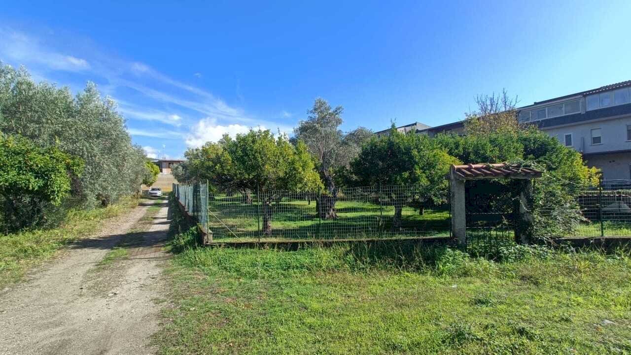 WhatsApp Image 2025-11-13 at 10.41.47(2).jpeg - Terreno edificabile Via Giuseppe Saragat, Lamezia Terme - foto 2