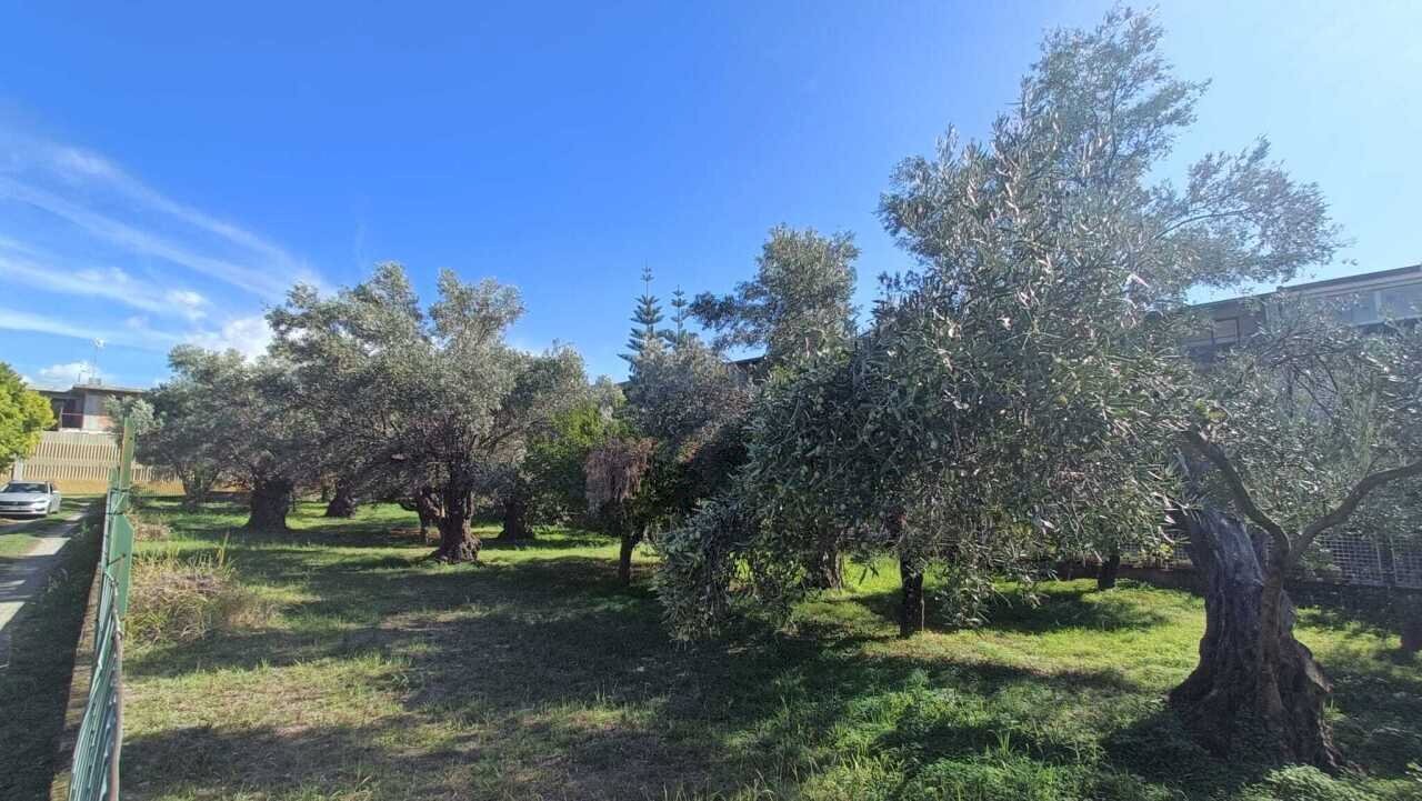 WhatsApp Image 2025-11-13 at 10.41.47.jpeg - Terreno edificabile Via Giuseppe Saragat, Lamezia Terme - foto 3