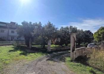 WhatsApp Image 2025-11-13 at 10.41.48(1).jpeg - Terreno edificabile Via Giuseppe Saragat, Lamezia Terme - foto 4