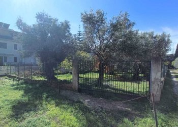 WhatsApp Image 2025-11-13 at 10.41.48.jpeg - Terreno edificabile Via Giuseppe Saragat, Lamezia Terme - foto 5