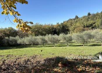 Villa Unifamiliare Località Casanovina, 21, Castellina in Chianti - foto 38