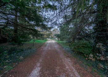Rustico VIA MEDESANO 2, Castel Guelfo di Bologna - foto 4