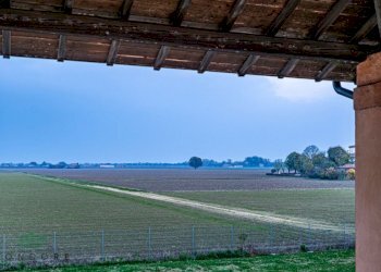 Rustico VIA MEDESANO 2, Castel Guelfo di Bologna - foto 6