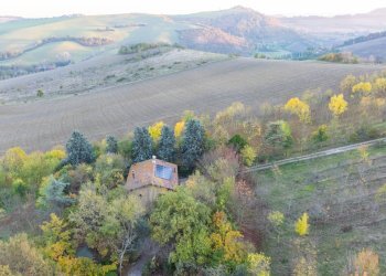 Independent house Dozza - photo 3
