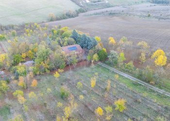 Independent house Dozza - photo 4