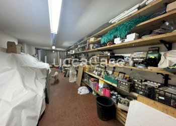 Villa Lucca (zona Antraccoli) - foto 11