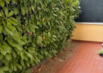 Three-room apartment Via Pinin Balbo, Alba - photo 7