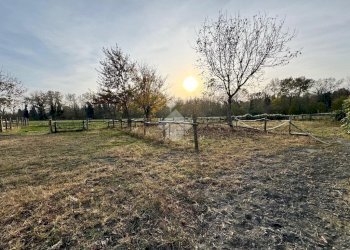 Casa indipendente Via muriset, Pinerolo - foto 43