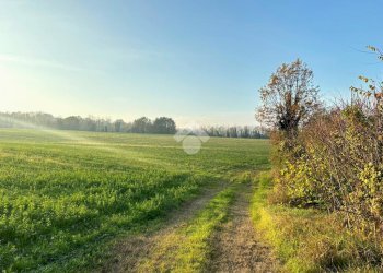Casa semi indipendente Via maggio XXIV, Traversetolo - foto 12