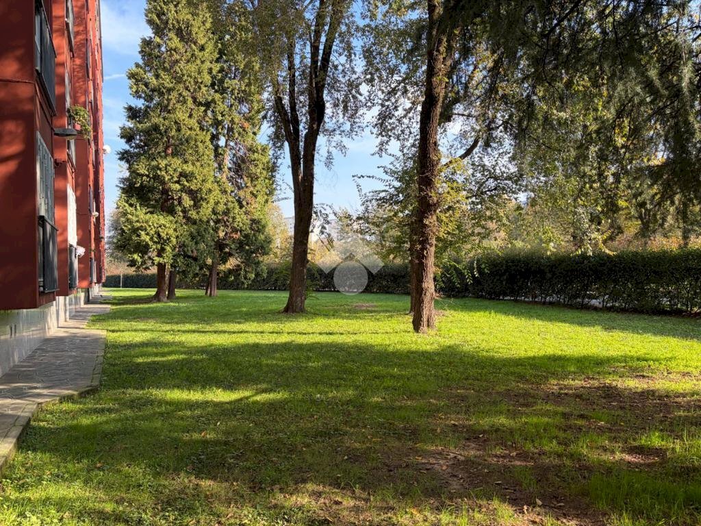 Quadrilocale Via Francesco Cilea, Milano (zona Gallaratese) - foto 3