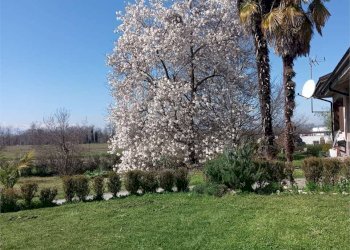 Quadrilocale Margarita - foto 12