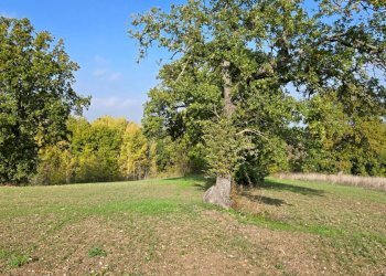 Foto 5 - Casa indipendente Via delle Querce
 
3, Torre Le Nocelle - foto 5