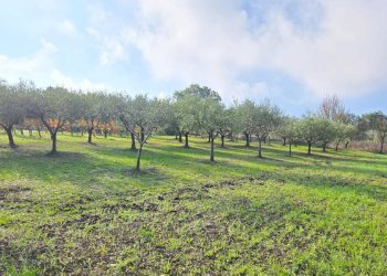 Foto 6 - Casa indipendente Via delle Querce
 
3, Torre Le Nocelle - foto 6