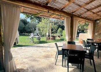 Foto 14 - Rustico Massa Marittima - foto 14